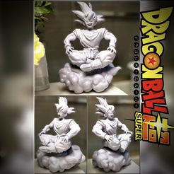 Dragon Ball Goku