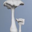 2023-04-21-10_31_39-ZBrush.jpg naturalist sculpture mushrooms girolle