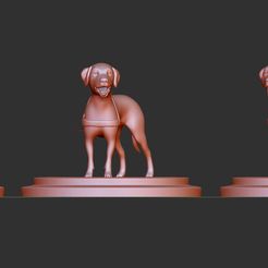 98898989.jpg Archivo STL Modelo imprimible de perro・Plan para descargar y imprimir en 3D