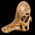 Corytho_cas05.jpg Fichier 3D Corythosaurus : Crâne de dinosaure・Objet pour imprimante 3D à télécharger