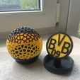 IMG_6553.jpeg BVB ball money box Voronoi
