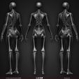 Female-Human-Skeleton-3D-Model-sculpted-by-Yacine-BRINIS-008.jpg Highly Detailed Human Skeleton (Female)