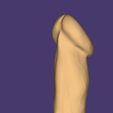 Screenshot_20230101-151249_exocad-webview.jpg Dick
