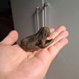 Imagem-do-WhatsApp-de-2025-10-29-a-s-11.18.56_f0b8123d.jpg Jack Sparrows Netsuke Meerjungfrauenanhänger + Schlangenknochen