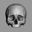 04.jpg Human Skull