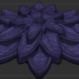 02.png Flor, Cato, Suculenta, Folhas de suculenta, Flor de Natal, Folhas de suculenta, Flor de estrela