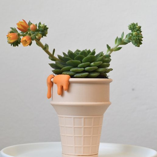DSC_1166.jpg STL file Ice cream cone planter pot・3D printable design to download, vavavali