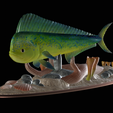 my_project-1-6.png mahi mahi / dorado / common dolphinfish underwater statue detailed texture for 3d printing