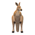 kangaroo1.png Real Kangaroo