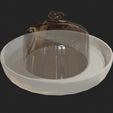 IMG_4157.jpeg Desert Dish 3D Model