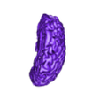 brain - STLBrain_001_0.stl 3D Model of Skull and Brain with Brain Stem