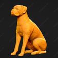 2521-Boxer_Pose_04.jpg Boxer Dog 3D Print Model Pose 04