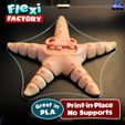 Flexi Starfish 02.jpg STL file Cute Flexi Print-in-Place Starfish・Model to download and 3D print