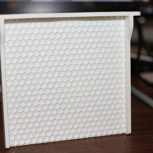 11e9672c50a624bc16461b809a7377a4_display_large.JPG Honey Bee foundation (worker and drone)