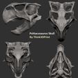 psittacosaursu skull 3d all.jpg Dinosaur  - Psittacosaurus skull 3d