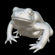 Capture-d’écran-2023-07-06-à-10.36.20.png toad