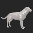 Dog-low-poly07.jpg Chien Low Poly - Usage commercial