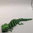 Articulated Chameleon