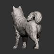 Alaskan-Malamute13.jpg 3D-Datei Alaskan Malamute 3D-Druck Modell・Modell für 3D-Drucker zum Herunterladen