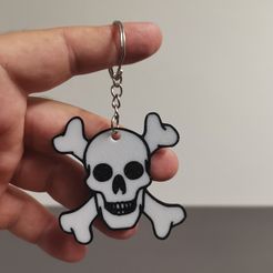 IMG_20230802_182849.jpg STL file Skull 2.0 multicolor keychain・3D printable model to download