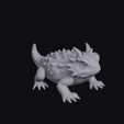 horned_lizard_0002.jpg Horned Lizard
