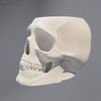 SKULL-POT-02.jpg POTE DE CAVEIRA