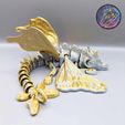 380469548_1017668456134190_5509009811191458634_n.jpg Flexi Butterfly Dragon, Articulated Dragon