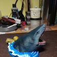 96106034_10222659846194771_93450491131854848_n.jpg Jaws Bruce The Shark 3D print model