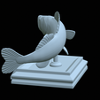 zander-open-mouth-tocenej-35.png fish zander / pikeperch / Sander lucioperca trophy statue detailed texture for 3d printing