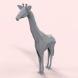 girafa.29.jpg Giraffe / Girafa