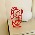 Diseño-corazon-anatomico-3d.png 3d anatomical heart