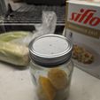 PXL_20230921_015811657.jpg Jar Fruit fly trap