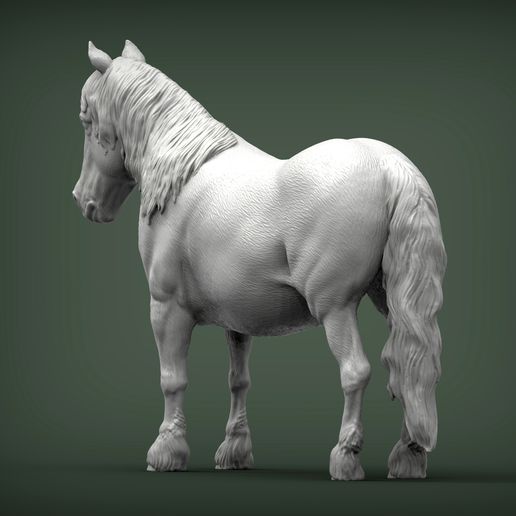 pony2.jpg Modelo de impresión 3D de poni