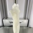IMG_3929.jpg STL file Female Torso Comb・3D printable model to download