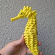 IMG_6605.jpeg FLEXI SKELTON SEAHORSE