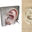 _Photo3-Ear.jpg 3D Scanner: App to turn 2 photos into 3D model