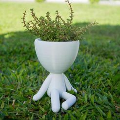 WhatsApp Image 2019-02-25 at 20.05.32_large.jpeg STL-Datei Robert Plant Pot kostenlos・Vorlage für den 3D-Druck zum herunterladen
