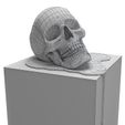 3-d-model-art-scull-3d-model-max-obj-mtl-fbx-stl-wrl-wrz (11).jpg 3D model Art scull 3D print model