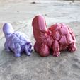 20211027_161833.jpg Fichier STL Dicky Turtle V8 🐢・Plan à imprimer en 3D à télécharger