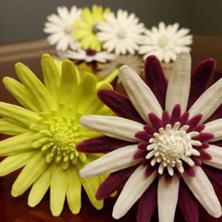 main flowers.jpg Fichier STL gratuit Daisy - fleur plate・Plan à télécharger et à imprimer en 3D, mag-net