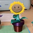 Center.jpg Fichier STL gratuit Plante de tournesol V1・Modèle à télécharger et à imprimer en 3D