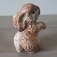 lapinou-2.jpg Rabbit Rabbit 🐇