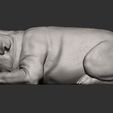 pug-for-3d-printing-3d-model-2ab14af153.jpg pug is sleeping 3D print model
