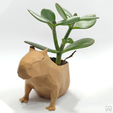 Capy_pot_2.png Capybara Flower Pot