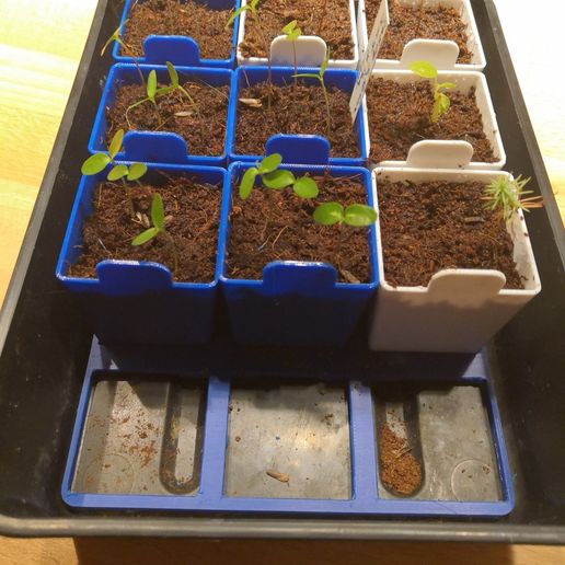 Seedling farm 3D model