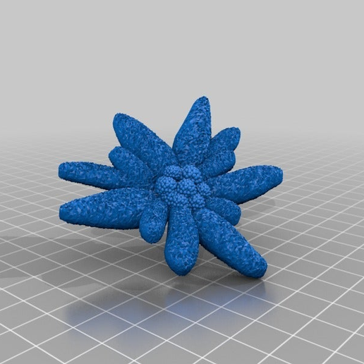 73b333fdb3f6c3878b160f2ace21fc6f.png Edelweiss / mountian lion