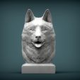 Husky2.jpg Husky bust 3D print model