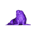 walrus.stl Mors