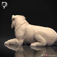 Bulldog-Pose-09-Dog-3D-Print-6s.jpeg Bulldog Dog 3D Print Model Pose 09