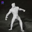 8.jpg Black Panther Action Figures Custom 3D Print Model